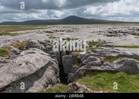 Pothole cannelé sur la mousse de tête de brebis au-dessus d'Ingleton dans le parc national des Yorkshire Dales Banque D'Images