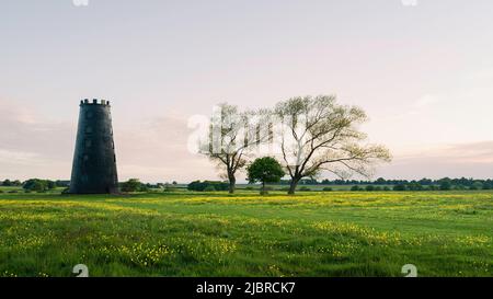 Parc boisé de Westwood flanqué de prairies et de butterbutterbutterbups sauvages fleuris et d'arbres sous un ciel clair lors d'une soirée d'été calme à Beverley, dans le Yorkshire, au Royaume-Uni. Banque D'Images