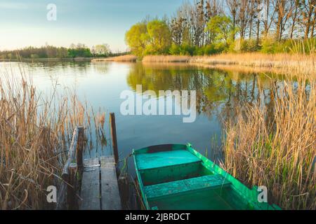 Un bateau amarré à la jetée dans les roseaux, lac calme et arbres Banque D'Images