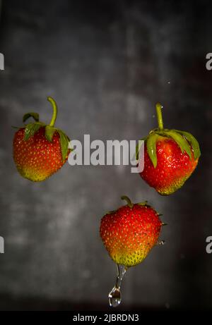 Fraises aux gouttelettes d'eau sur fond flou. Banque D'Images