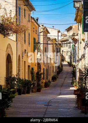 Portrait d'une ruelle méditerranéenne soignée typique bordée de pots de plantes en montée dans la vieille ville d'Alcudia avec des façades ensoleillées au printemps et à l'ombre. Banque D'Images