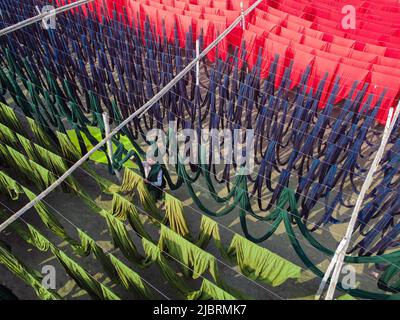 8 juin 2022, Narayanganj, Dhaka, Bangladesh : les travailleurs pendent des milliers de mètres de tissus de différentes couleurs pour sécher. Les fils de fer sont utilisés entre les cadres de bambou pour créer des lignes de lavage géantes pour la dernière partie du processus de mort que les tissus sont séchés au soleil. Fils lumineux de bleu, rose, orange, rouge, violet, des chiffons teints jaune, magenta et vert sont suspendus au-dessus du champ herbacé dans un réseau éblouissant de couleurs entrelacés. C'est la dernière partie du processus de mort après laquelle le tissu est fait chaque jour en t-shirts et gilets, qui sont ensuite vendus localement et internationalement. ( Banque D'Images