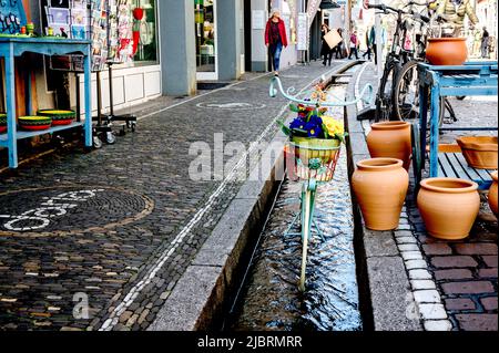 Freiburg im Breisgau (Bade-Wurtemberg, Allemagne): „Bächle“ in der Altstadt; rinnel, petits canons remplis d'eau, dans la vieille ville Banque D'Images