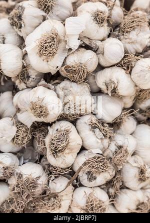 gros plan sur la pile d'ail Banque D'Images