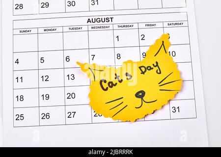 Journée internationale des chats sur le concept du 8th août. Calendrier d'août et dessin animé kitty muzzle. Isolé sur fond blanc. Banque D'Images