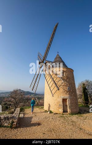 France, Vaucluse, Parc naturel régional du Luberon, Saint-Saturnin-lès-Apt, moulin à vent du 12th siècle Banque D'Images