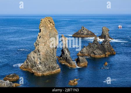 France, Morbihan, Belle Ile en mer, côte sauvage, Bangor, les aiguilles de Port coton Banque D'Images