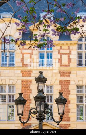 France, Paris, quartier latin, place Furstemberg Banque D'Images