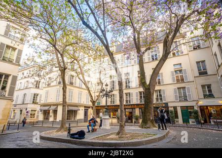 France, Paris, quartier latin, place Furstemberg Banque D'Images