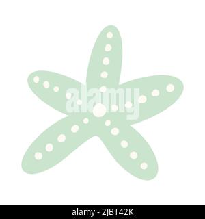 Starfish, plat Graphic Clipart. Mollusque de mer. Nature sauvage de la mer. Dessin pour enfants, illustration pour enfants. Isolé sur blanc. Vert Seastar. Banque D'Images