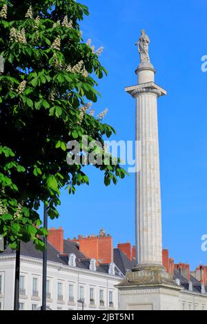 France, Loire Atlantique, Nantes, place Maréchal Foch, place conçue au 18th siècle avec la colonne Louis XVI en son centre Banque D'Images