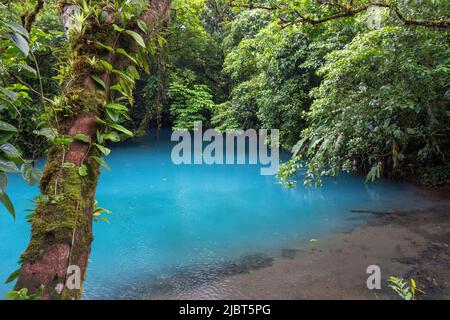 Costa Rica, province d'Alajuela, parc national du volcan Tenorio, Rio Celeste Banque D'Images