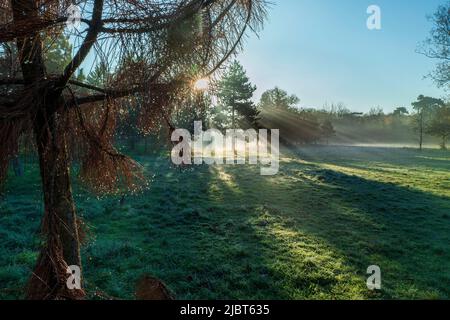 France, Paris (75), Bois de Vincennes Banque D'Images