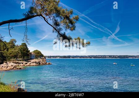 France, Finistère, Fouesnant, la côte entre Cap Coz et Pointe de Beg Meil, crique et plage de Bot-Conan qui longe le chemin côtier, les eaux translucides et le sable fin Banque D'Images