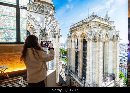 France, Paris, le Collège des Bernardins, l'exposition augmentée : notre Dame de Paris Banque D'Images