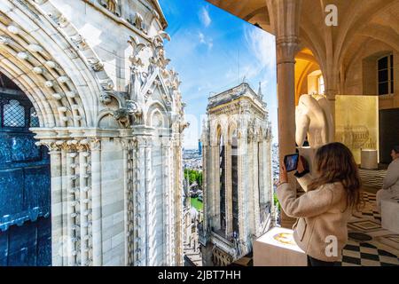 France, Paris, le Collège des Bernardins, l'exposition augmentée : notre Dame de Paris Banque D'Images