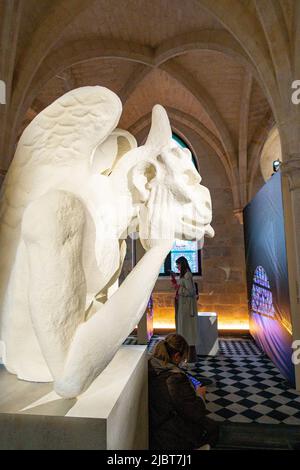 France, Paris, le Collège des Bernardins, l'exposition augmentée : notre Dame de Paris Banque D'Images