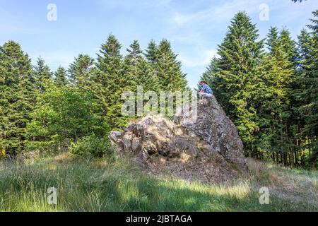 France, Saône-et-Loire, Saint-léger-sous-Beuvray, oppidum de Bibracte, capitale du peuple celtique de l'Aedui, site archéologique sur le Mont Beuvray, la Pierre de la Wire, selon la légende il était du sommet de ce rocher, Près de la porte de Reboud que Vercingetorix aurait harangé ses troupes après avoir été proclamé chef de la coalition contre César Banque D'Images