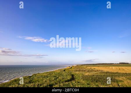 France, somme, Côte d'Albatre, Mers les bains, les falaises Banque D'Images