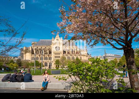 France, Paris, le quartier des Halles, le jardin Nelson Mandela et l'église Saint-Eustache, un cerisier en fleur Banque D'Images
