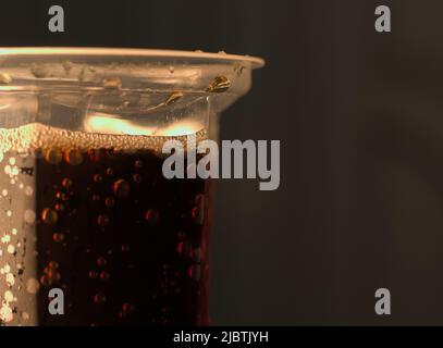 Cola avec fizz dans un verre en plastique. Gros plan, nuit. Banque D'Images