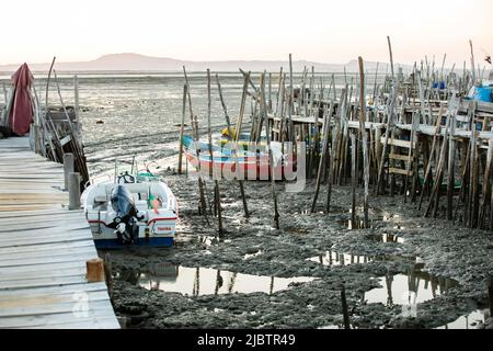 Porto Palafita da Carrasqueira, connu sous le nom de "Cais Palafitico da Carrasqueira" ou "Carrasqueira Palafitic Pier", quai emboîtable sur pilotis en bois, construit Banque D'Images