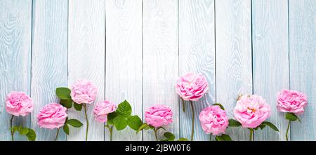 Roses roses sur fond de planches en bois bleu Banque D'Images