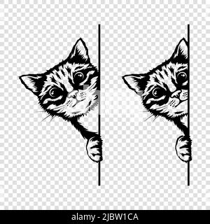 Vector Monochrome main Drawm Black, White Hiding Peeking Kitten. Tête de chaton avec griffes en haut Peeking sur blanc blanc Placerard, affiche, carte, bannière. Animaux de compagnie Illustration de Vecteur