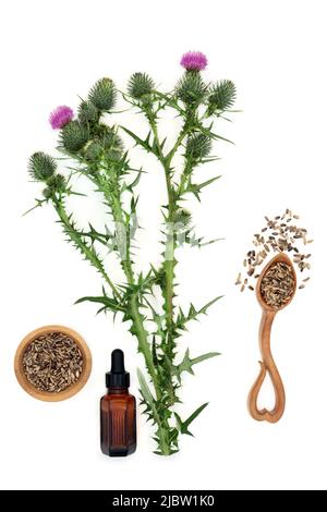 Plantes, graines et huiles de chardon à base de lait utilisées en phytothérapie naturelle pour les troubles du foie et de la vésicule biliaire, en tant que compléments alimentaires pour l'hépatite, Banque D'Images