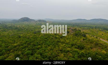 Paysage tropical avec jungle et végétation. Sri Lanka. Banque D'Images