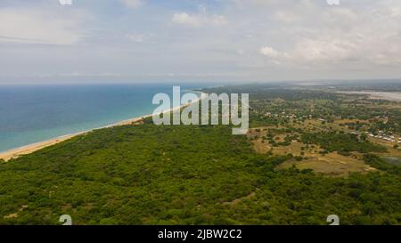 Vue aérienne sur la plage de sable avec palmiers et surf sur l'océan avec vagues. Sri Lanka. Banque D'Images