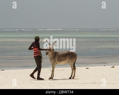 Matemwe, Zanzibar - Jan, 2021: La vie quotidienne de la population locale sur une plage de sable de Zanzibar. Tanzanie, Afrique Banque D'Images