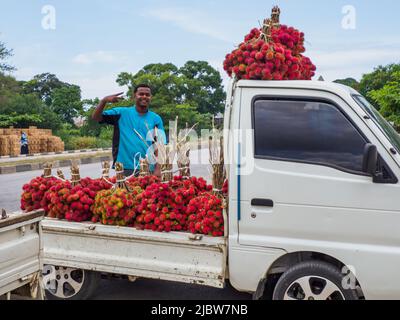 Zanzibar, Tanzanie - Fév, 2021: Beaucoup de grappe de fruits rouges de lychee vendus directement de la voiture sur la rue de l'Afrique. Autres noms connus: Lychee, long Banque D'Images