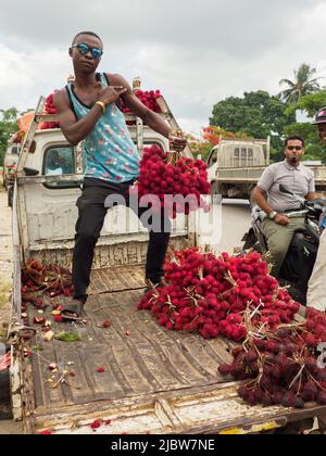 Zanzibar, Tanzanie - Fév, 2021: Beaucoup de grappe de fruits rouges de lychee vendus directement de la voiture sur la rue de l'Afrique. Autres noms connus: Lychee, long Banque D'Images