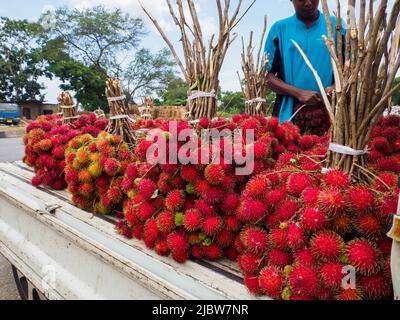 Zanzibar, Tanzanie - Fév, 2021: Beaucoup de grappe de fruits rouges de lychee vendus directement de la voiture sur la rue de l'Afrique. Autres noms connus: Lychee, long Banque D'Images