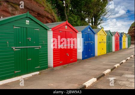 Des cabanes de plage aux couleurs vives sur le front de mer à Coryton Cove, Dawlish, Devon, Angleterre Banque D'Images