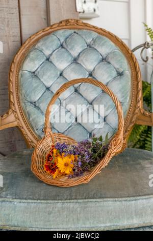 Lavande fleurs sauvages dans Une chaise Banque D'Images