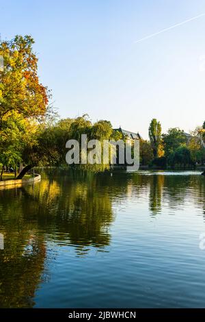 Paysage vert vif près du lac dans le jardin de Cismigiu (Gradina Cismigiu), un parc public dans le centre-ville de Bucarest Banque D'Images