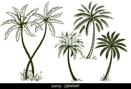 Ensemble avec des palmiers dessinés à la main dans un style d'esquisse. Illustration pour les voyages d'été. Isolé sur fond blanc. Vecteur. Illustration de Vecteur