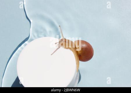 Escargot sur le pot de crème pour la peau sur fond d'eau. Soins de beauté de la peau, cosmétiques à base de mucine d'escargot. Concept de beauté. Banque D'Images
