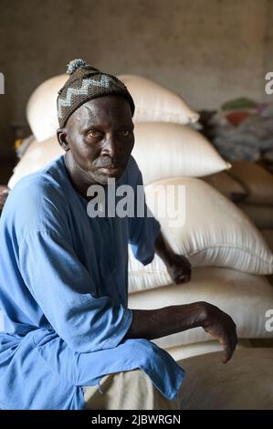 SÉNÉGAL, Kaolack, Medina Sabakh près de la Gambie, entrepôt communautaire dans le village de Loyene, stockage de céréales pour les périodes de pénurie alimentaire / Gemeinschaft Getreidespeicher à Loyene, von der Caritas gefördert Banque D'Images