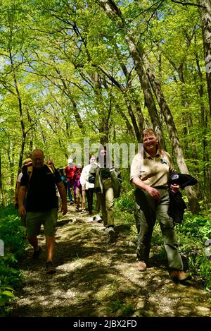 Groupe de randonneurs sur le sentier panoramique national de l'âge de glace, dirigé par un guide avec le département des ressources naturelles du Wisconsin, Elkhart Lake, Wisconsin, États-Unis Banque D'Images