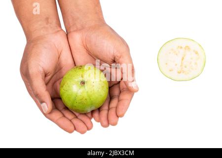 Psidium guajava - fruits savoureux et sains pomme de Guava; dans main masculine sur fond blanc Banque D'Images