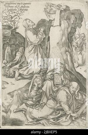 Christ prie à genoux et garde ses yeux sur un ange. Au premier plan, le Pierre endormi, James et John. Derrière lui, à droite, s'approche de Judas avec un sac de mousson et derrière lui des soldats. En haut à gauche un texte en latin, Christ dans la cour de Gethsemane., imprimerie: Adriaen Huybrechts (I), (mentionné sur l'objet), Martin Schongauer, Anvers, 1584, papier, gravure, h 165 mm × l 114 mm Banque D'Images