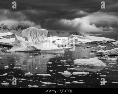 Noir et blanc, icebergs sculptés dans le détroit de Gerlache, Antarctique Banque D'Images