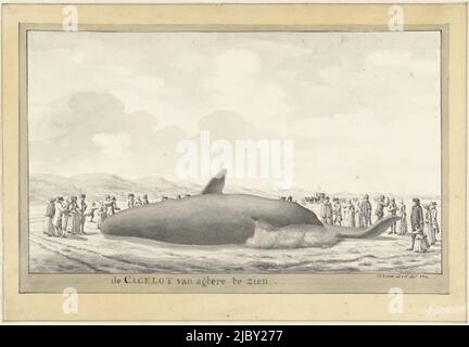 Cachalot béché près d'Egmond aan Zee, 1764 ans, Vincent Jansz. Van der Vinne, 1764 ans, cachalot béché sur la plage au nord d'Egmond aan Zee, 15 février 1764. L'animal vu de derrière sur son dos, en arrière-plan les dunes, avec des spectateurs à gauche et à droite., dessinateur: Vincent Jansz. Van der Vinne, pays-Bas du Nord, 1764, papier, h 193 mm × l 279 mm Banque D'Images