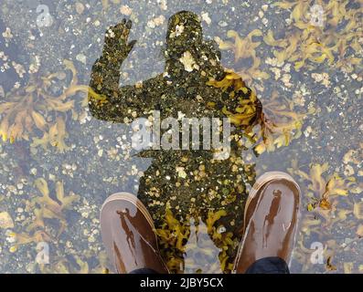 Le photographe prend son autoportrait dans les eaux peu profondes intertidales en portant des bottes XTRATUF et en agitant Banque D'Images