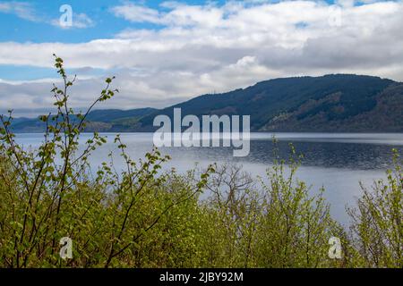 Vue panoramique sur le Loch Ness en Écosse avec montagnes et fond bleu ciel, et végétation au premier plan Banque D'Images