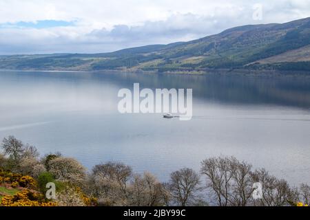 Vue panoramique sur le Loch Ness en Écosse avec montagnes et fond bleu ciel, et végétation au premier plan Banque D'Images