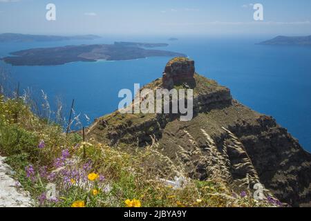 Grèce Paysage sur l'île de Santorin avec formation de roche volcanique et fleurs printanières en premier plan. Banque D'Images